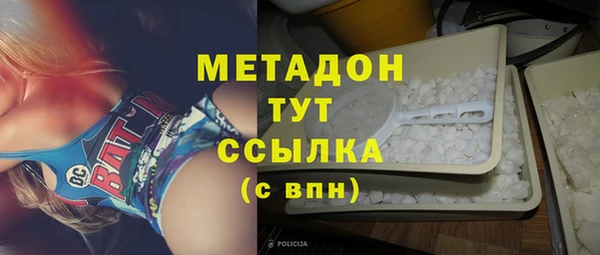 прущие грибы Пересвет