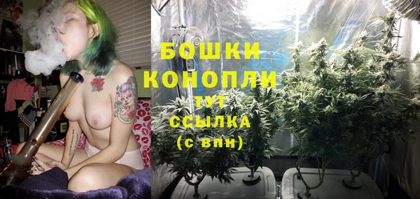 меф Осташков