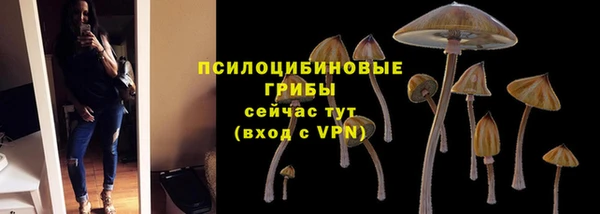 шишки Остров