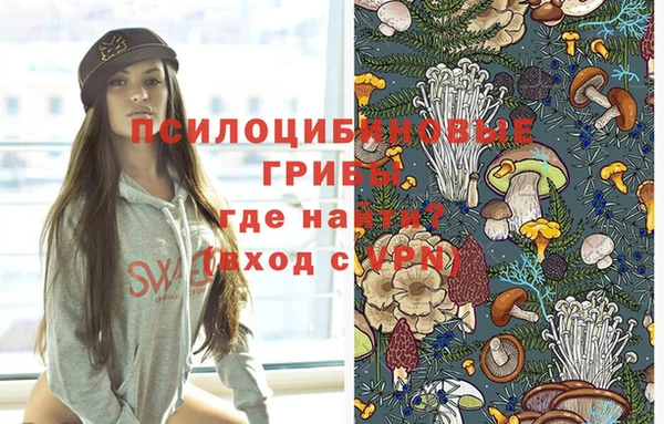 шишки Остров