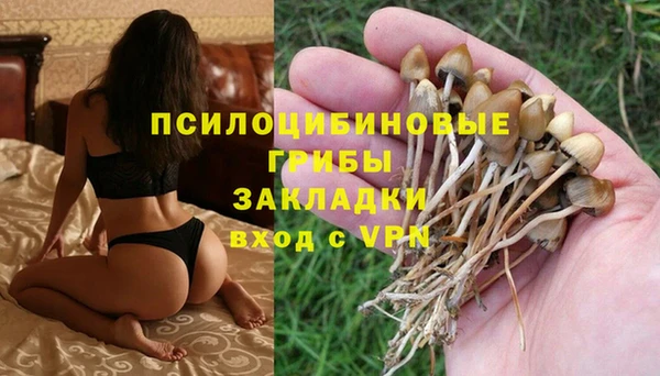 шишки Остров