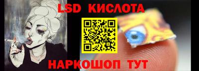 спиды Гай