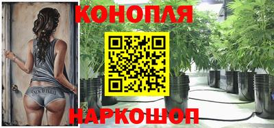 спиды Гай