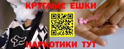 спиды Гай