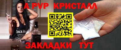 спиды Гай