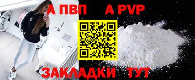 спиды Гай
