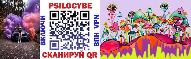 Галлюциногенные грибы Psilocybe  Мичуринск 