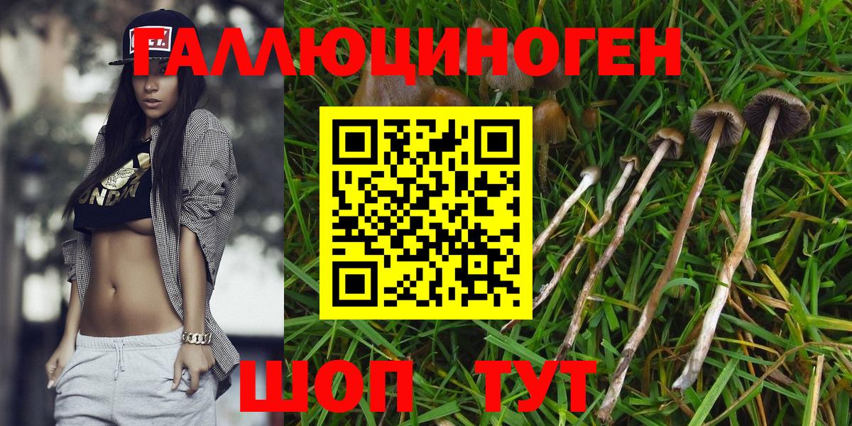 Галлюциногенные грибы прущие грибы  Мичуринск 